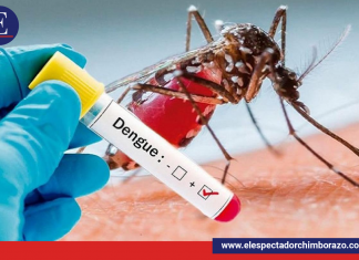 Día internacional de la lucha contra el dengue