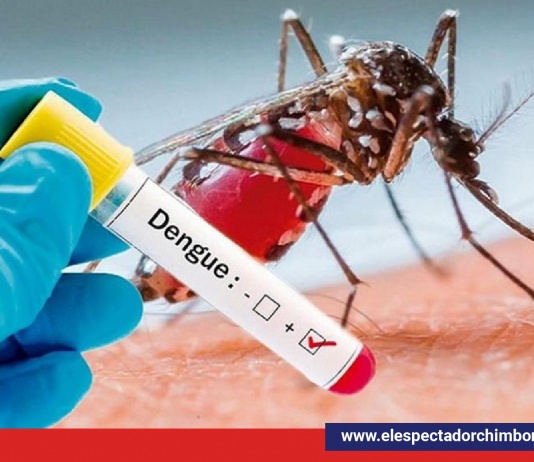 Día internacional de la lucha contra el dengue