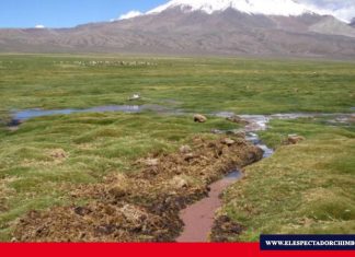 4 Prefecturas conformarán consorcio para la siembra y cosecha de agua