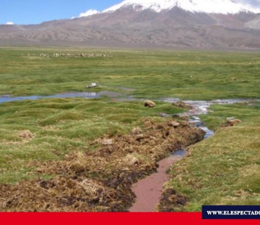 4 Prefecturas conformarán consorcio para la siembra y cosecha de agua