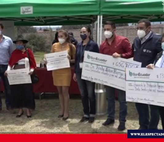 Entrega de créditos para reactivar el sector agropecuario en Chimborazo