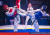Día internacional del Taekwondo
