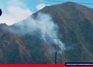 Incendio forestal en el cerro Puñay