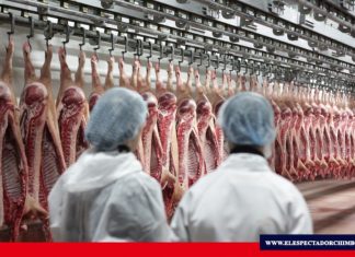 Certificación para conocer origen de canales y subproductos cárnicos