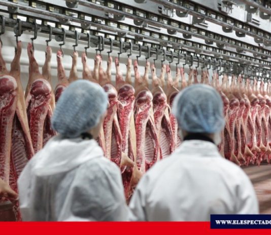 Certificación para conocer origen de canales y subproductos cárnicos