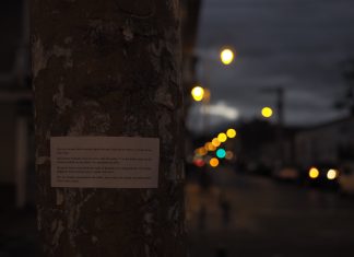 Microcuentos