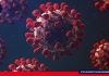 Coronavirus: 5 características que hacen tan mortal a la covid-19 El coronavirus afecta más a unos organismos que a otros y los expertos empiezan a conocer las razones. Foto/ Fuente: James Gallagher Corresponsal de Salud y Ciencia, BBC News.