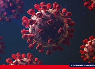 Coronavirus: 5 características que hacen tan mortal a la covid-19 El coronavirus afecta más a unos organismos que a otros y los expertos empiezan a conocer las razones. Foto/ Fuente: James Gallagher Corresponsal de Salud y Ciencia, BBC News.