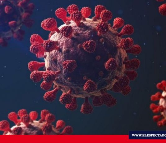 Coronavirus: 5 características que hacen tan mortal a la covid-19 El coronavirus afecta más a unos organismos que a otros y los expertos empiezan a conocer las razones. Foto/ Fuente: James Gallagher Corresponsal de Salud y Ciencia, BBC News.