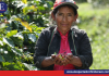 DÍA INTERNACIONAL DE LAS MUJERES RURALES