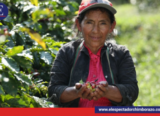 DÍA INTERNACIONAL DE LAS MUJERES RURALES