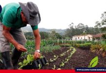 III Congreso de Producción Orgánica se desarrolla del 14 al 16 de octubre