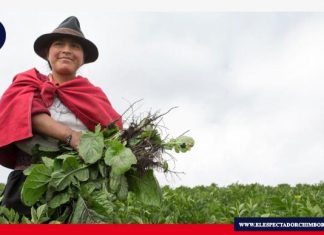 Prueba piloto del Renagro inició con sus actividades