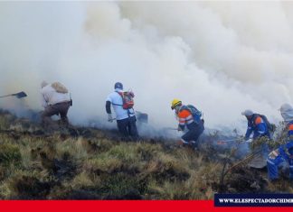 280 hectáreas destruidas en el Parque Nacional Llanganates Lamentablemente no solamente se afectó la flora y la fauna del lugar, sino la funcionalidad eco sistémica del páramo del parque”. Edwin Machado, administrador del Parque Nacional Llanganates Foto: Municipio de Tungurahua.