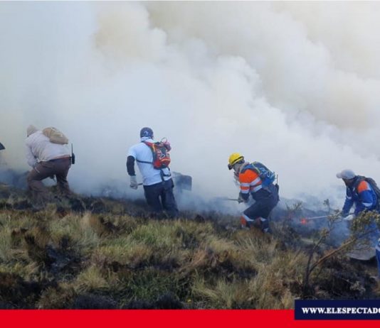 280 hectáreas destruidas en el Parque Nacional Llanganates Lamentablemente no solamente se afectó la flora y la fauna del lugar, sino la funcionalidad eco sistémica del páramo del parque”. Edwin Machado, administrador del Parque Nacional Llanganates Foto: Municipio de Tungurahua.