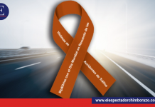 Día mundial en recuerdo de las víctimas de accidentes de tránsito