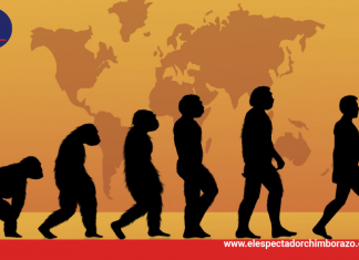 Día Mundial de la evolución