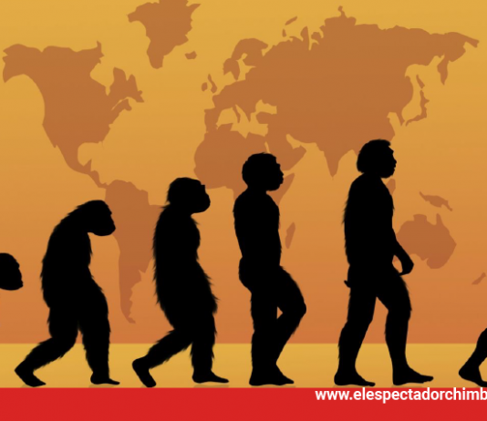 Día Mundial de la evolución