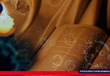 Libros para leer y disfrutar La afición a la literatura ayuda a hacer la cuarentena más llevadera, además enriquece la cultura del individuo.