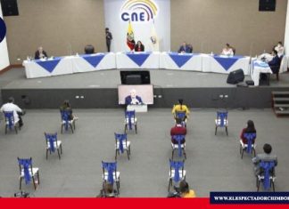 CNE amplía la convocatoria al Proceso de Auditoría de las Organizaciones Políticas