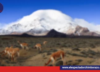 DÍA INTERNACIONAL DE LAS MONTAÑAS