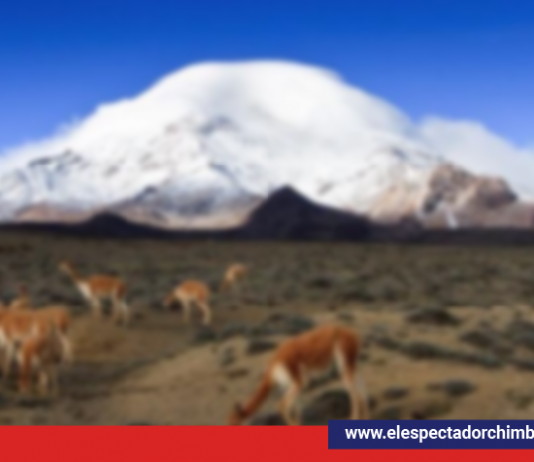 DÍA INTERNACIONAL DE LAS MONTAÑAS