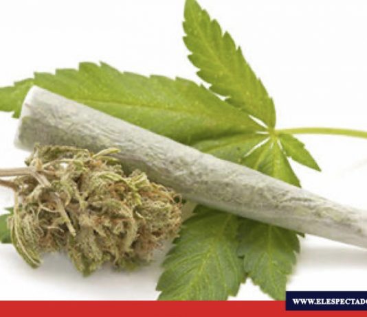 Marihuana ¿droga o medicina?