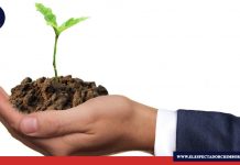 Día Mundial del Suelo