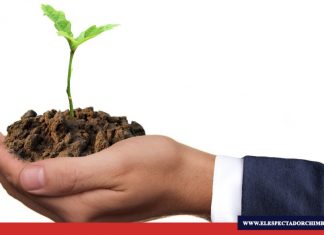 Día Mundial del Suelo