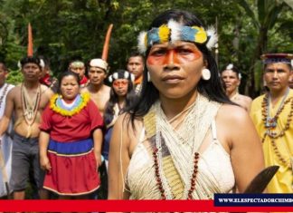 Líderes waorani luchan por la vida en su territorio Nemonte, "Río de estrellas" en español, es la líder waorani más reconocida a nivel internacional. Foto: BBC News.