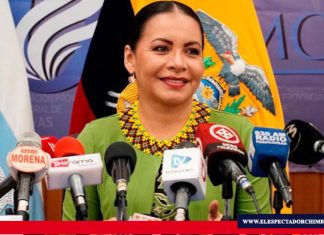 Diana Atamaint está fuera del CNE El dictamen se impuso por incumplimiento de la sentencia sobre el partido de "Alvarito".