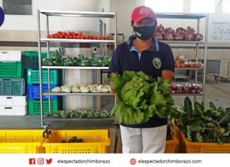 Mujeres rurales de Chimborazo ofertan canastas agrícolas a domicilio