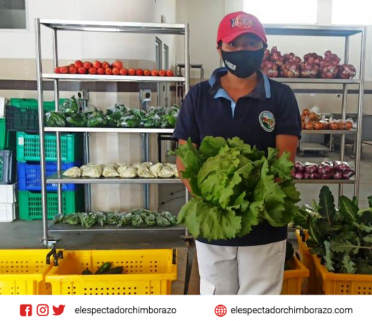 Mujeres rurales de Chimborazo ofertan canastas agrícolas a domicilio