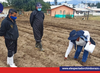 Plantas para el huerto inclusivo del centro «Despertar de los Ángeles»