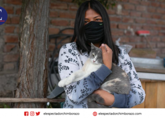 Campañas de esterilización de mascotas en sectores rurales