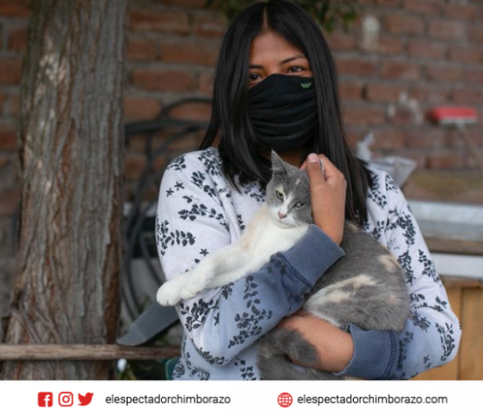 Campañas de esterilización de mascotas en sectores rurales