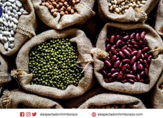 Día mundial de las legumbres