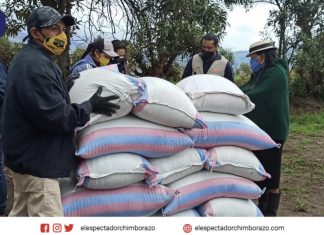 Kits de bioinsumos para productores y exportadores de quinua