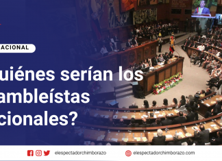 ¿Quiénes podrían ser asambleístas nacionales?
