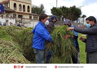 Productores de Chimborazo, reciben alimento de ganado tras la eventualidad del Volcán Sangay Entrega de alimento y ambulancias veterinarias. Foto: #MAGActivado.
