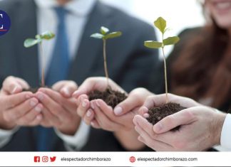 Seguros Confianza pone en marcha Plan de Energía Limpia para mitigar el cambio climático Generadores solares en sede corporativa de Seguros Confianza. Cortesía: Richard Condor/ Seguros Confianza.