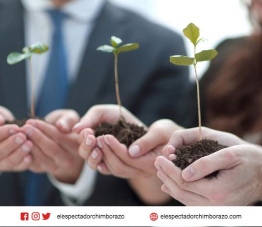 Seguros Confianza pone en marcha Plan de Energía Limpia para mitigar el cambio climático Generadores solares en sede corporativa de Seguros Confianza. Cortesía: Richard Condor/ Seguros Confianza.