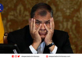 «La gente no nos perdonó que hayamos puesto a Moreno de candidato». Rafael Correa