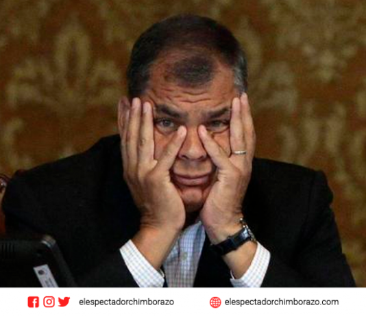 «La gente no nos perdonó que hayamos puesto a Moreno de candidato». Rafael Correa