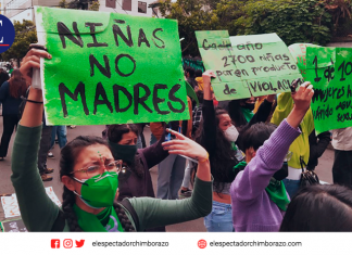 Se entrega Proyecto de Ley para garantizar el aborto por violación