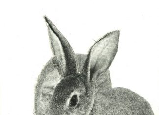 La cara oculta de la Luna